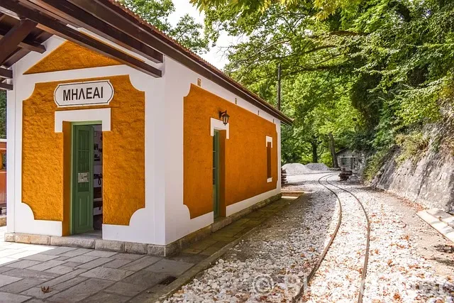 Nijerya Milli Takımı Nijerya Milli Takımı