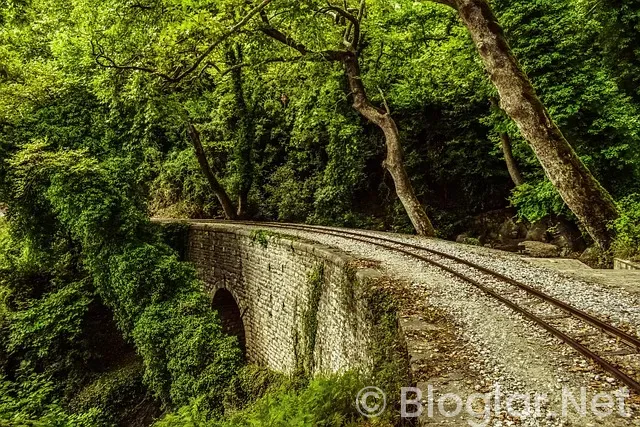 Nijerya Milli Takımı Nijerya Milli Takımı