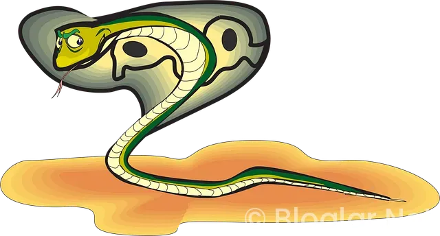 Nvidia hisse Nedir? Nvidia hisse Nedir?