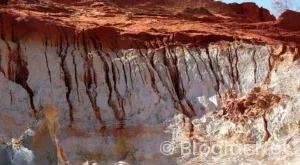 Öğretmenler Günü Ne Zaman?