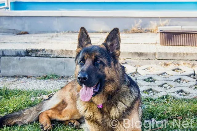 Öğretmenler Günü Ne Zaman? Öğretmenler Günü Ne Zaman?