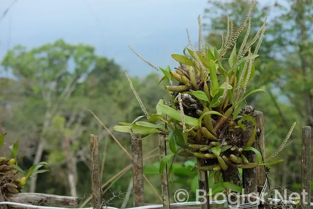 PARA KAZANDIRAN CANLI YAYIN UYGULAMALARI