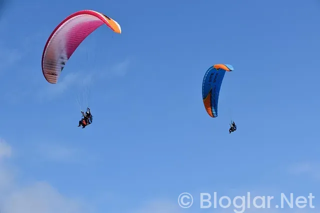 PAYLAŞIM YAPARAK PARA KAZANMA PAYLAŞIM YAPARAK PARA KAZANMA