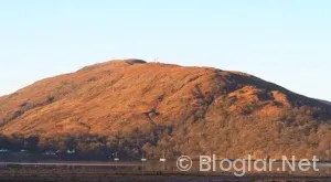 Robbie Williams Kimdir?