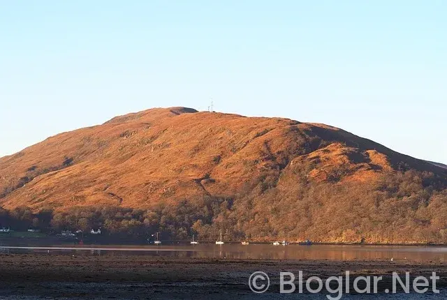 Robbie Williams Kimdir?