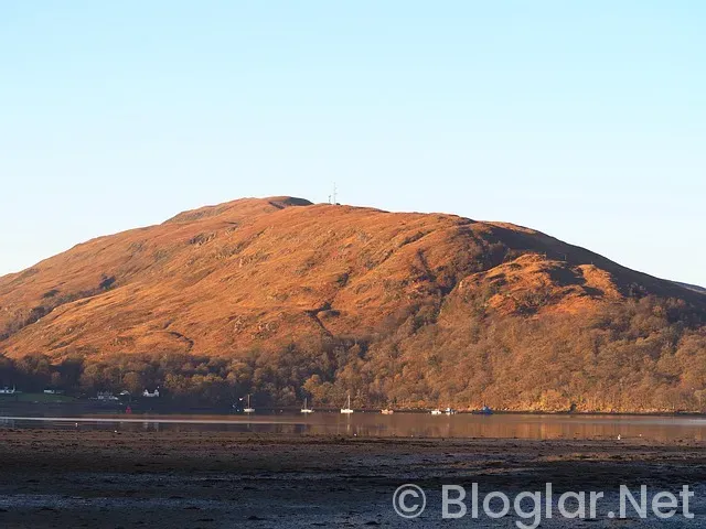 Robbie Williams Kimdir? Robbie Williams Kimdir?