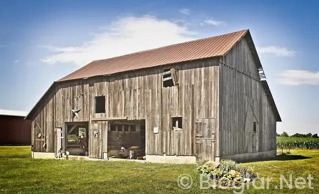 Robbie Williams Kimdir? Robbie Williams Kimdir?