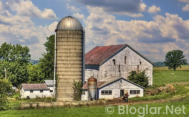 Robbie Williams Kimdir? Robbie Williams Kimdir?
