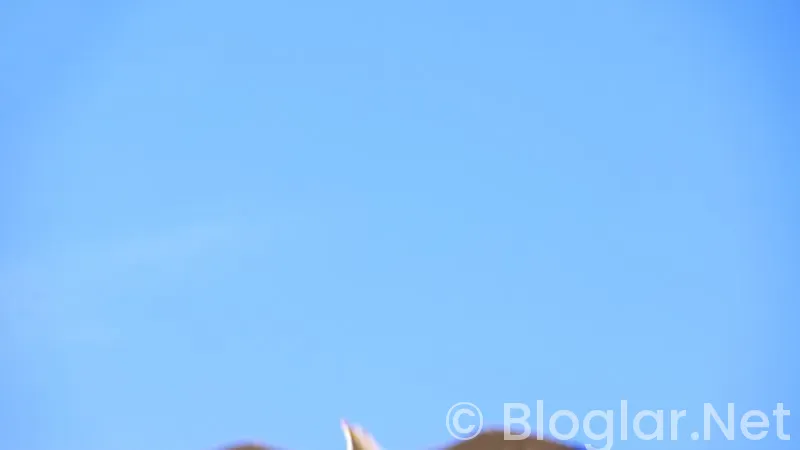 Sakıncalı Dizi Oyuncuları Sakıncalı Dizi Oyuncuları