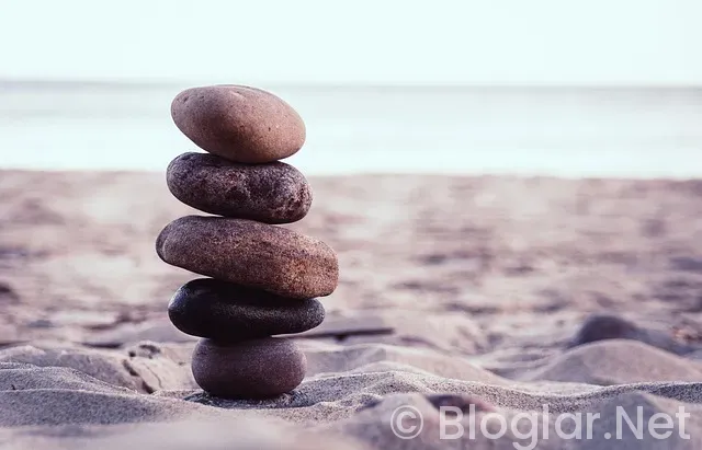 Şampiyonlar Ligi Maçları