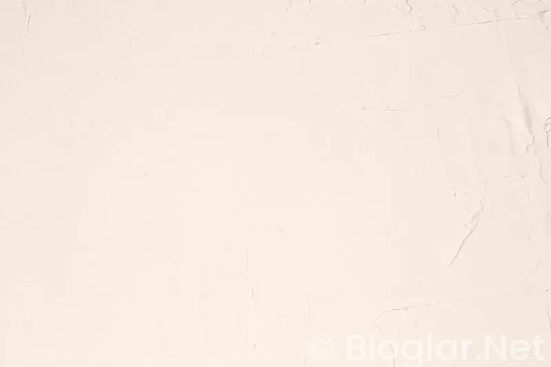 Shakira Kimdir? Shakira Kimdir?