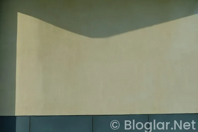 Shakira Kimdir? Shakira Kimdir?