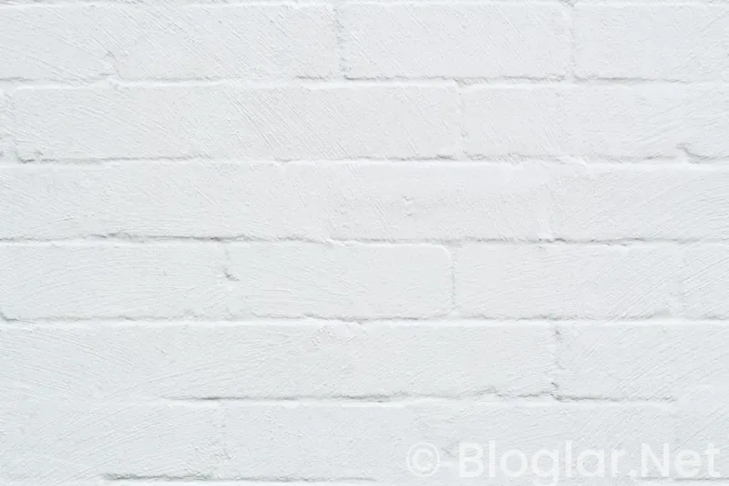 Shakira Kimdir? Shakira Kimdir?