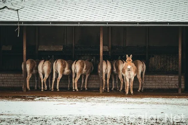 Sitenize gelen her kullanıcıyı etkilemek artık çok kolay Sitenize gelen her kullanıcıyı etkilemek artık çok kolay