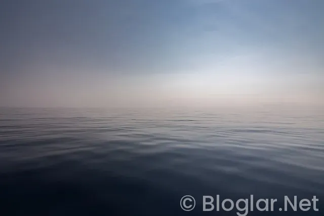 Şöför iş ilanları