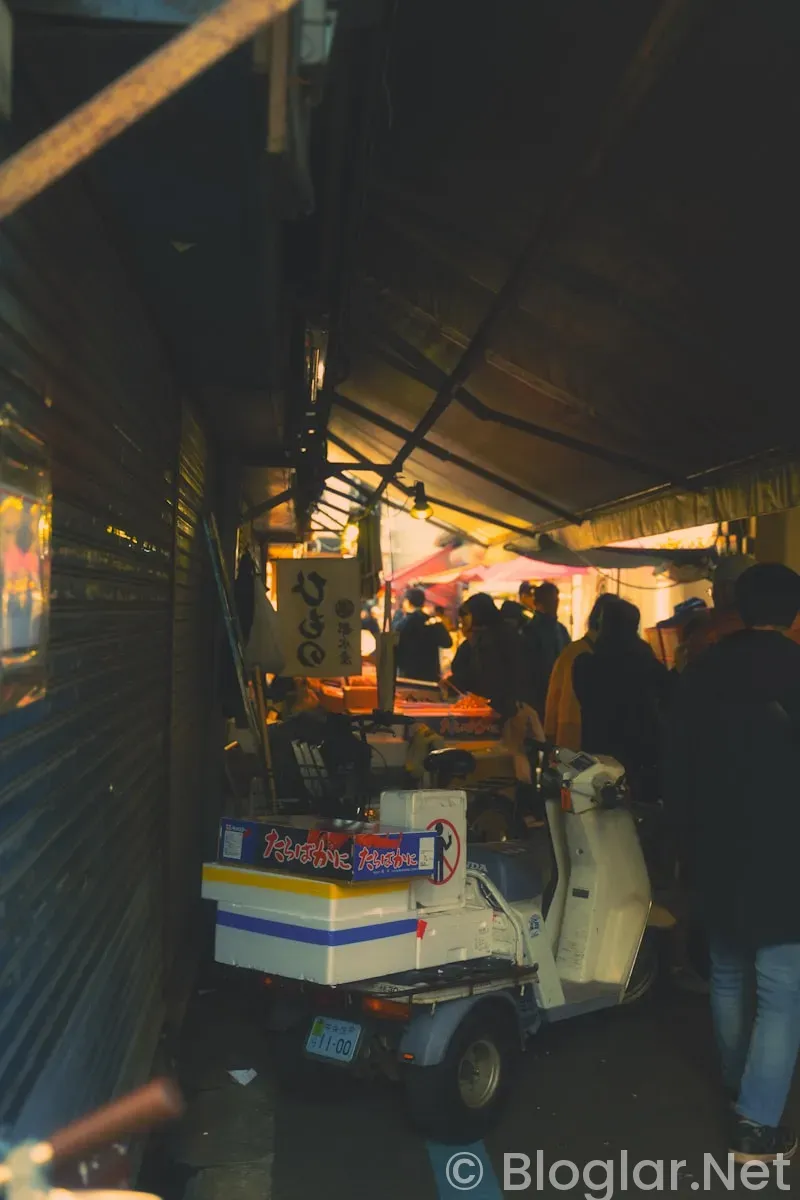 ŞOK MARKET İŞKUR MAAŞI