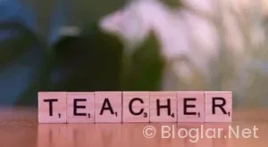 Sözleşmeli Öğretmen Ataması Tercih Rehberi