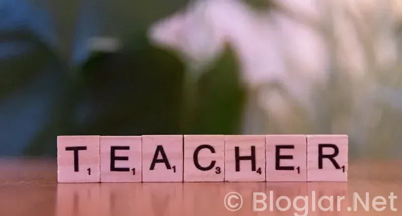 Sözleşmeli Öğretmen Ataması Tercih Rehberi