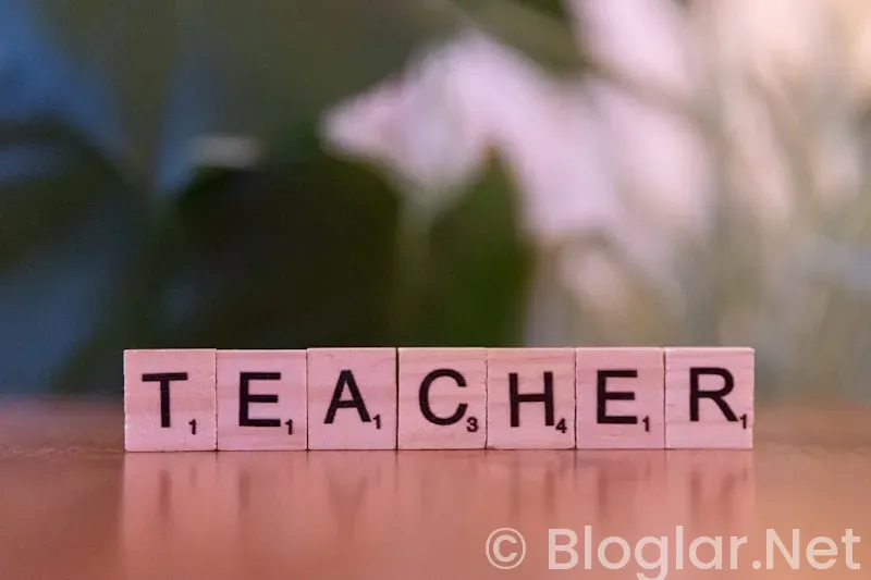 Sözleşmeli Öğretmen Ataması Tercih Rehberi