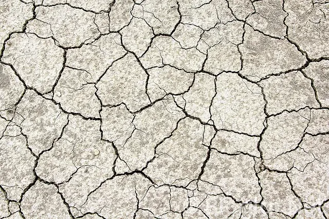 Spurs - Grizzlies Spurs - Grizzlies