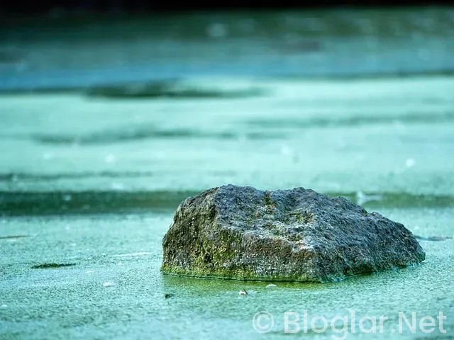 Spurs - Kings Maç Sonucu Spurs - Kings Maç Sonucu