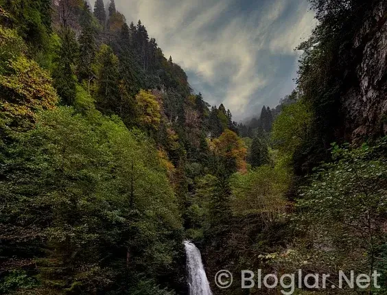 Tarım ve Orman Bakanlığı Personel Alımları
