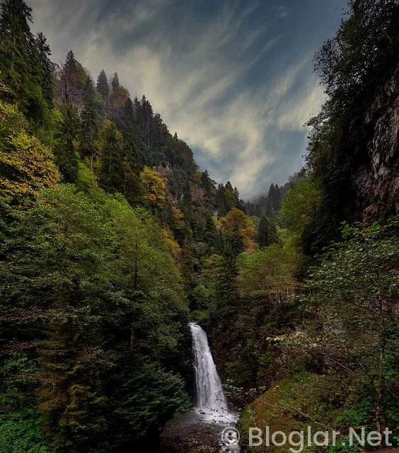 Tarım ve Orman Bakanlığı Personel Alımları Tarım ve Orman Bakanlığı Personel Alımları