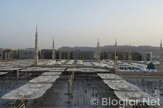 Tarım ve Orman Bakanlığı Personel Alımları Tarım ve Orman Bakanlığı Personel Alımları