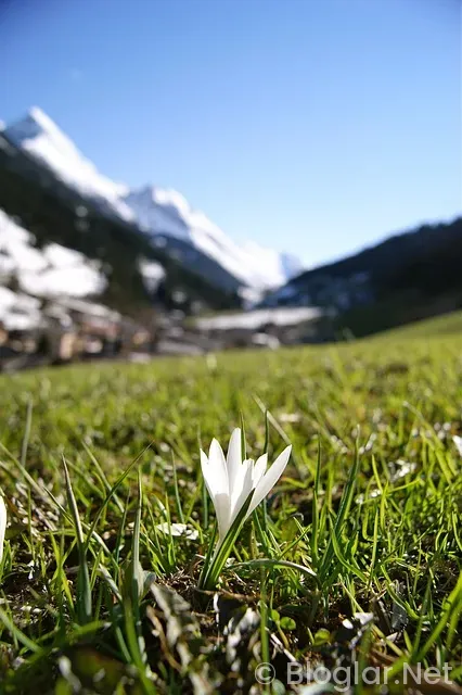 Tarım ve Orman Bakanlığı Personel Alımları Tarım ve Orman Bakanlığı Personel Alımları