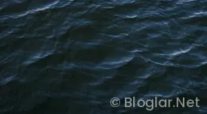 Taşaçak Bu Deniz 8 Bölüm Fragmanı