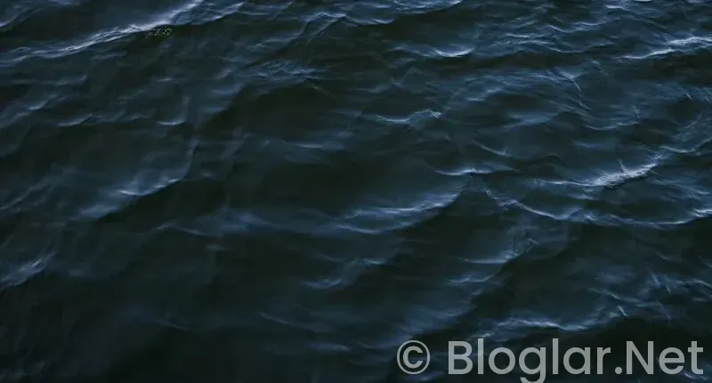 Taşaçak Bu Deniz 8 Bölüm Fragmanı