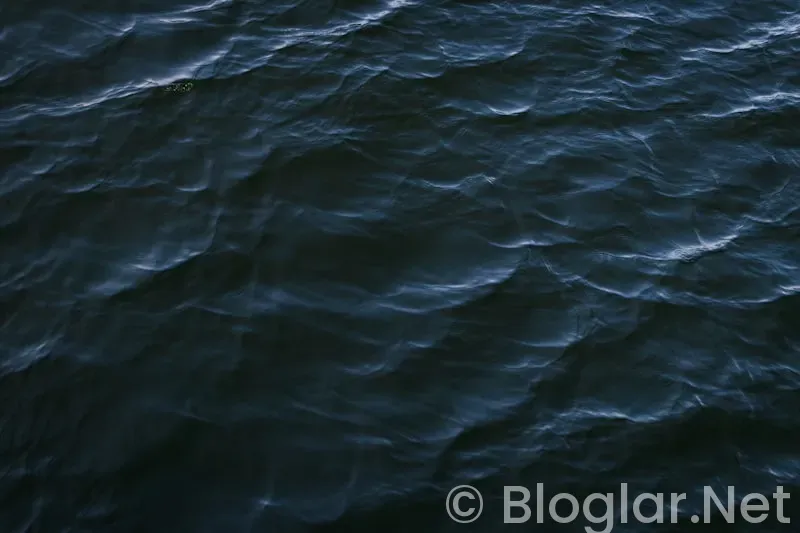 Taşaçak Bu Deniz 8 Bölüm Fragmanı Taşaçak Bu Deniz 8 Bölüm Fragmanı