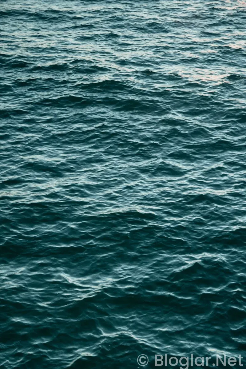 Taşaçak Bu Deniz 8 Bölüm Fragmanı Taşaçak Bu Deniz 8 Bölüm Fragmanı