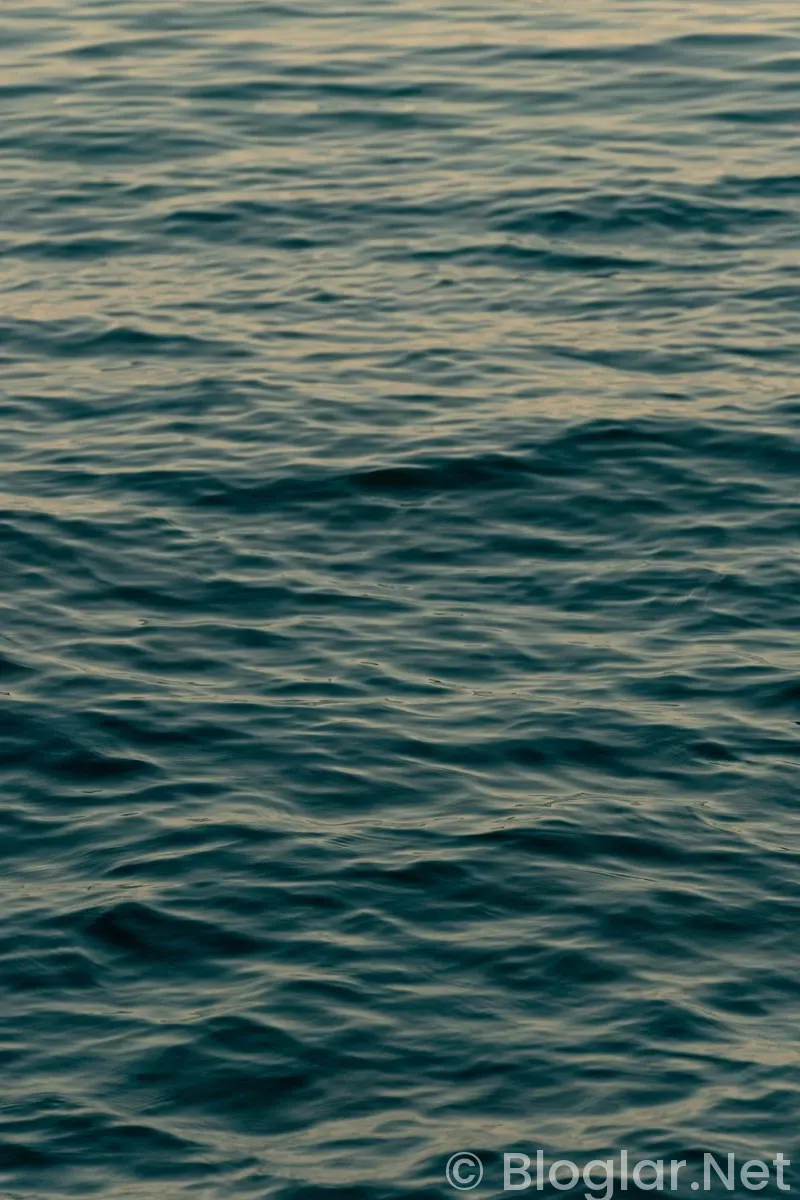 Taşaçak Bu Deniz 8 Bölüm Fragmanı Taşaçak Bu Deniz 8 Bölüm Fragmanı