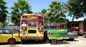 Taşacak Bu Deniz Canlı Yayın İzle