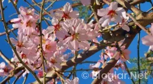 Tekirdağ iş ilanları