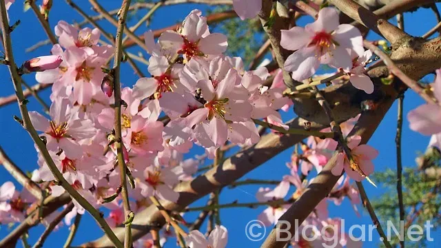 Tekirdağ iş ilanları Tekirdağ iş ilanları
