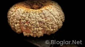 Tesettürlü çalışabileceğim iş arıyorum