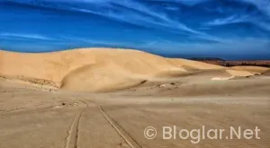 Toki ne zaman açıklanacak