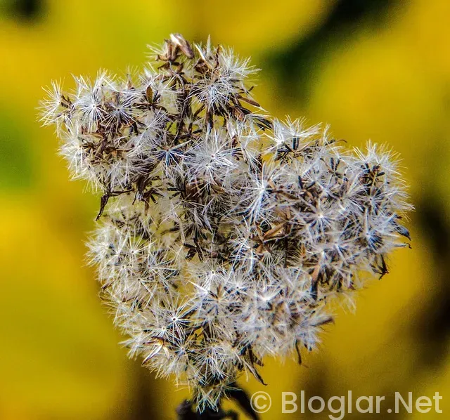TRT Spor nasıl izlenir? TRT Spor nasıl izlenir?