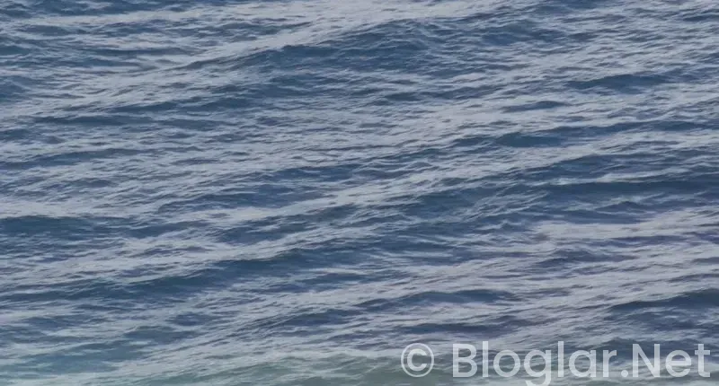 TRT Taşacak Bu Deniz 8 bölüm fragmanı