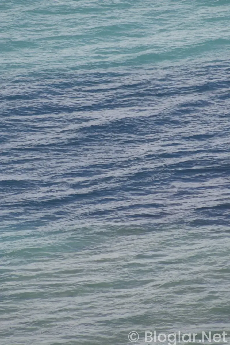 TRT taşacak bu deniz 8 bölüm fragmanı