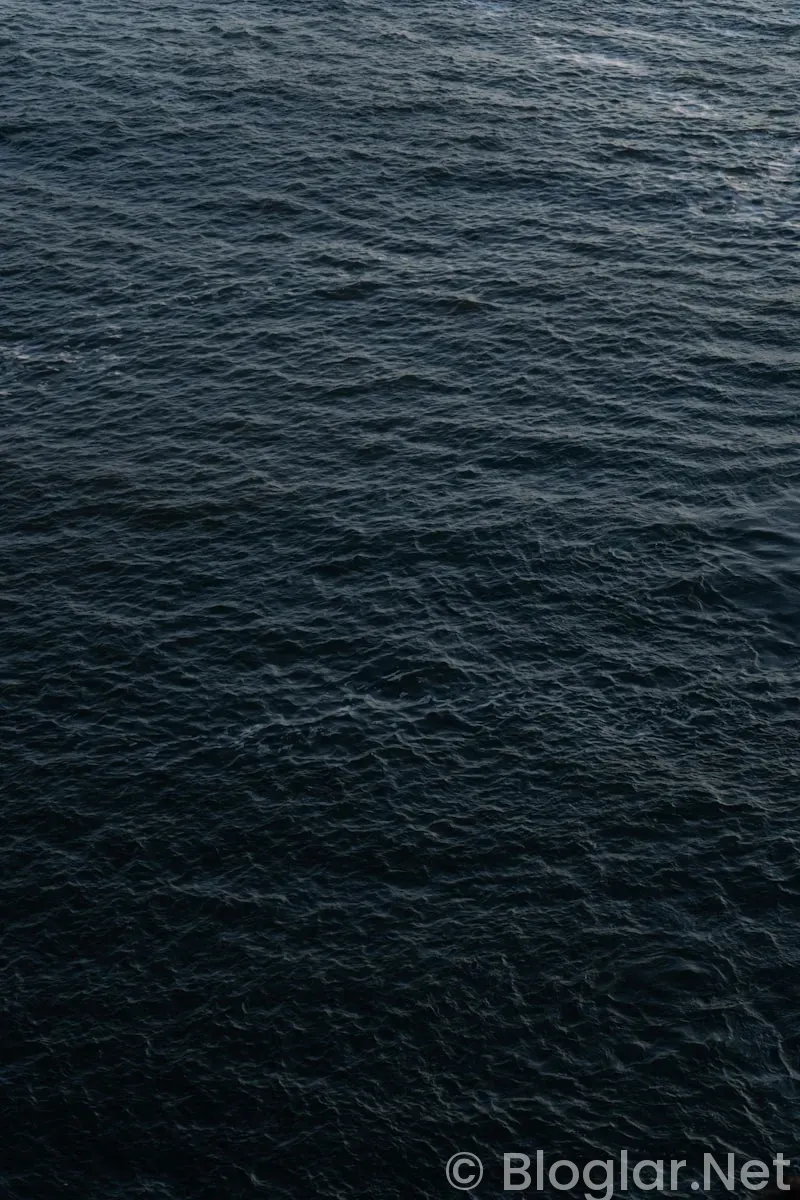 TRT taşacak bu deniz 8 bölüm fragmanı