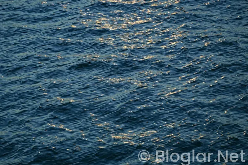 TRT taşacak bu deniz 8 bölüm fragmanı