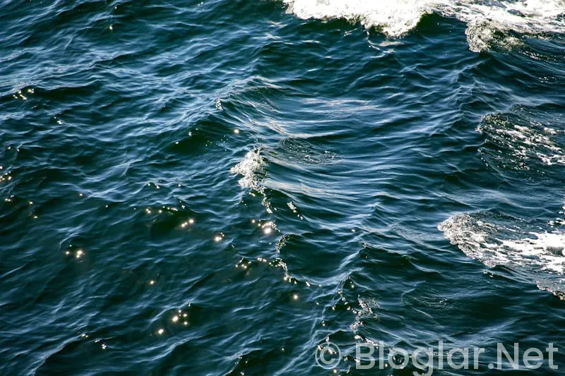 TRT taşacak bu deniz 8 bölüm fragmanı