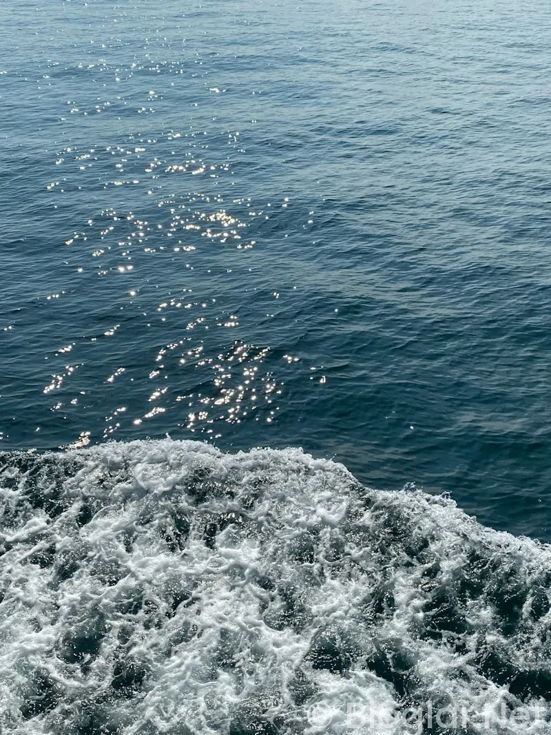 TRT taşacak bu deniz 8 bölüm fragmanı