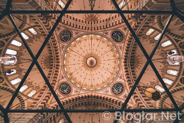 Türk Hava Yolları iş ilanları Türk Hava Yolları iş ilanları