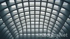 Türkan Şoray Kimdir?