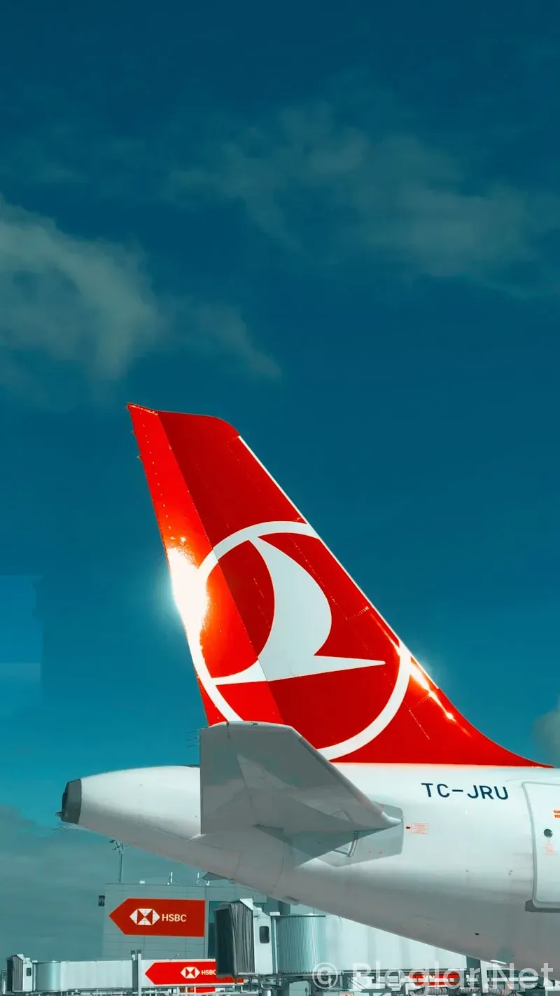 Turkish Airlines 2025