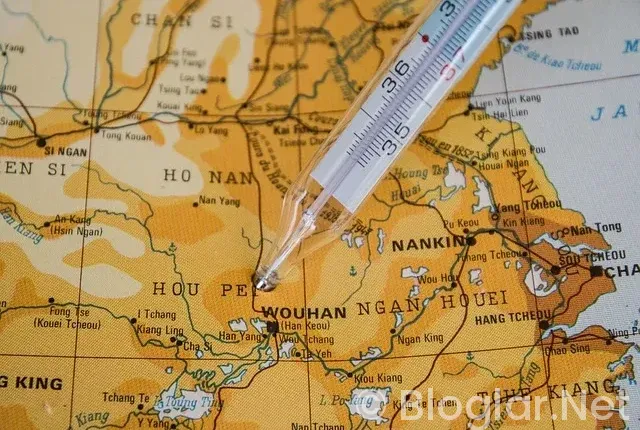 19 Kasım hangi burç?